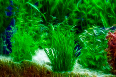 The water plant or aquatic plant or aquatic weed in the cabinet.