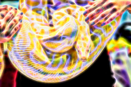 Abstract albino Burmese python as a pet tame.