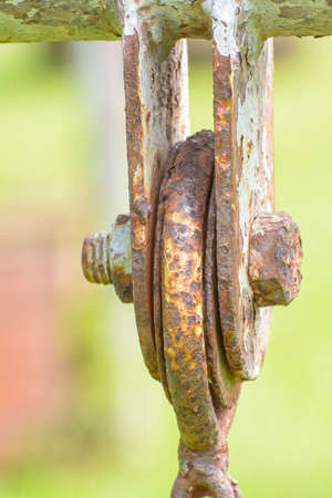 The old chain swing on a nature background.の写真素材