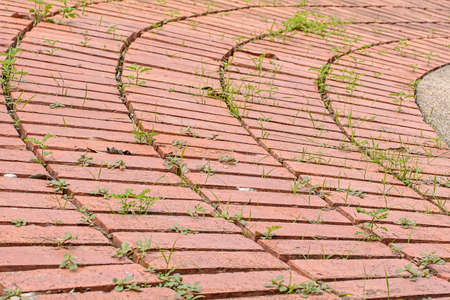 The walkway stone texture on nature background.の写真素材