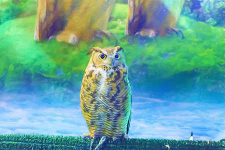 Owl is bird or poultry that brown color.の写真素材