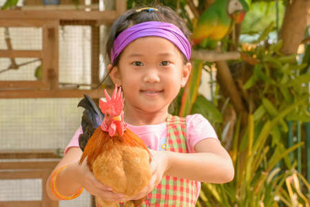 A girl caught chicken in the garden.の写真素材