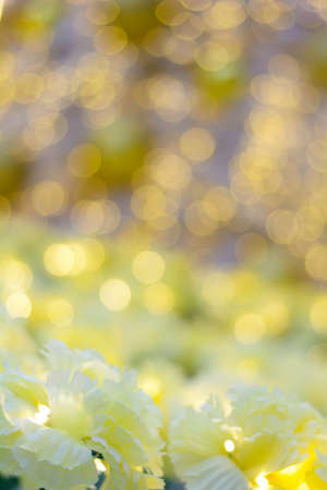 Bokeh Led in the Merry Christmas & Happy New Year festival.