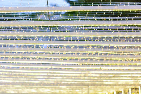 Bokeh Led in the Merry Christmas & Happy New Year festival.
