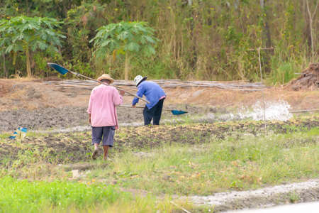 Farmers were watering small rice field for family eating. Not for trading.の写真素材