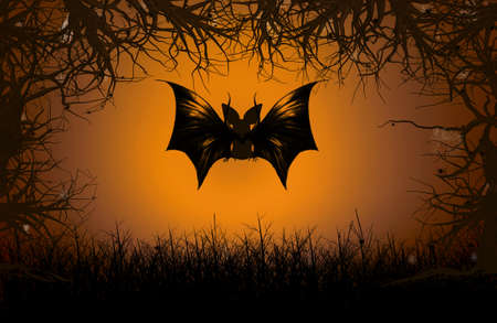 Bats flying in the forest on halloween night.の写真素材