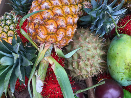 Many fruits stacks wait for a sale.
