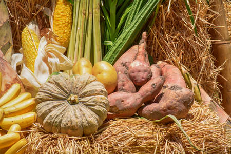 Many fruits and vegetables. It is good for health.