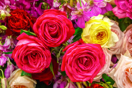 The rose is the flower represents love. Its on a flower background.
