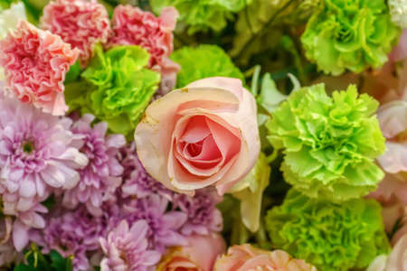 The rose is the flower represents love. Its on a flower background.