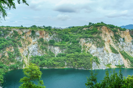 The hierodula patellifera isolated on a white background.の写真素材