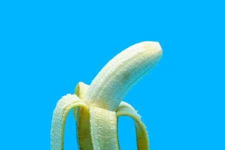 Cavendish banana is sheathed on a blue background.の写真素材
