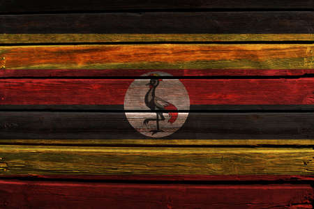 3D Flag of Uganda on a old wood wall background.の写真素材