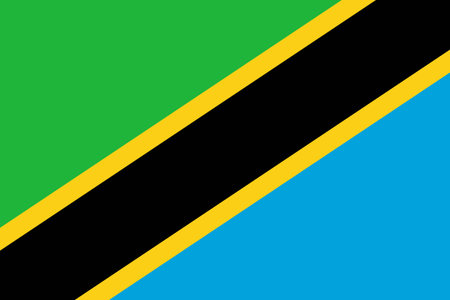 Abstract Flag of Tanzania. Vector illustration.のイラスト素材