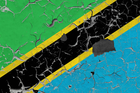 3D Flag of Tanzania on an old stone wall background.の写真素材