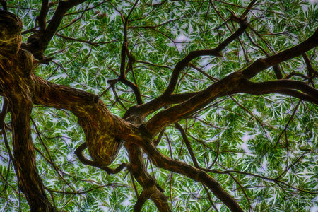 View under the big tree with glow effect.