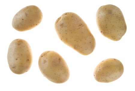 Fresh Potato isolated on white backgroundの写真素材