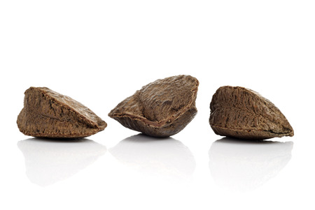 Brazil nuts, Bertholletia isolated on white background