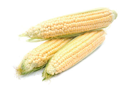 Corn cobs on white 