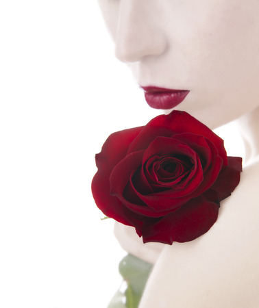 beautiful woman and rose,  isolated on whiteの写真素材