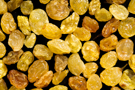 raisins の写真素材