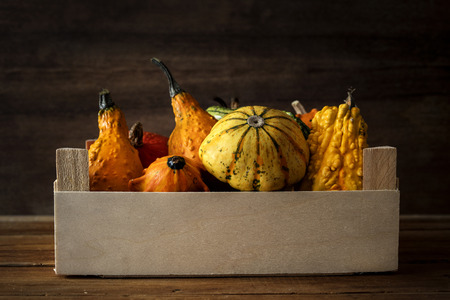 Decorative pumpkins on wooden table の写真素材