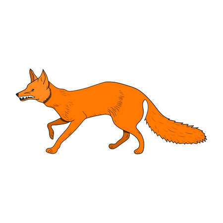 golden cute fox perfect for design projectのイラスト素材