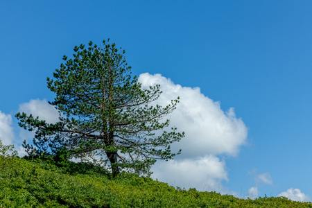 Landscape of Grachevsky Passの写真素材