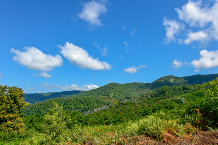 mountain expanses of the Caucasusの写真素材