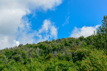 mountain expanses of the Caucasusの写真素材