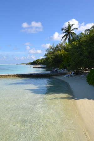 Maldivesの写真素材
