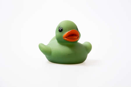 green duckの写真素材