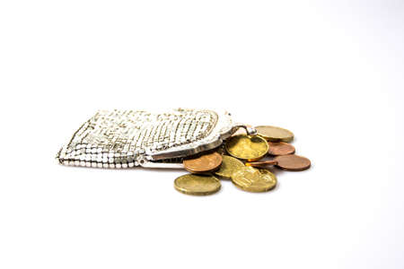 silver purse