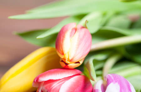 colorful decoration