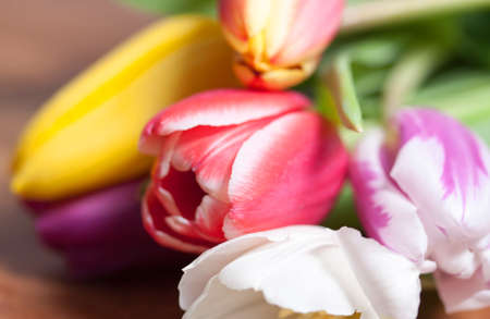 colorful decorationの写真素材