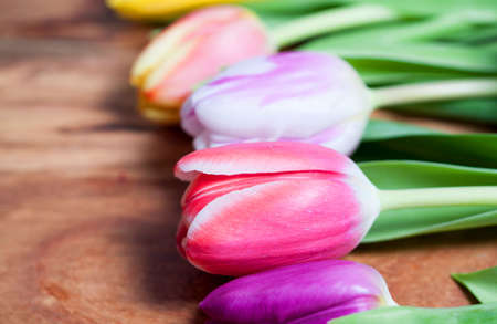 colorful decorationの写真素材