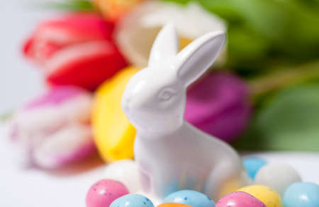 Colourful decoration of easter eggs の写真素材