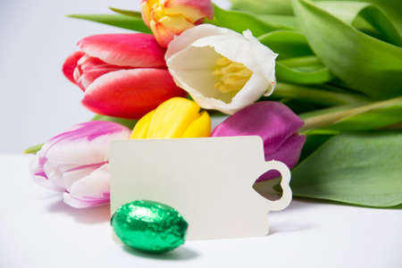 colourful decoration of easter eggs の写真素材