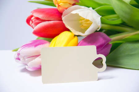 colourful decoration of greeting cardの写真素材