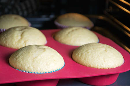 Muffins in ovenの写真素材