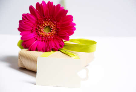 present with flowersの写真素材