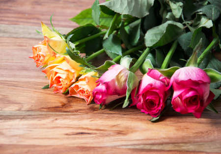 rosesの写真素材