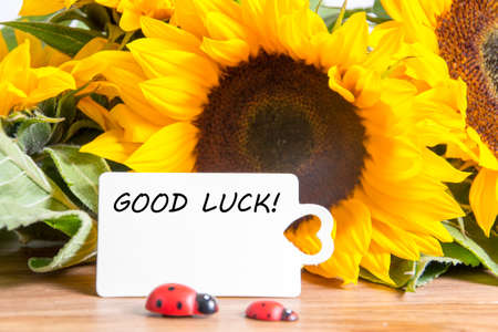 good luckの写真素材