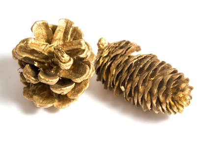 Christmasの写真素材