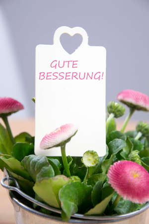 greetings with flowersの写真素材