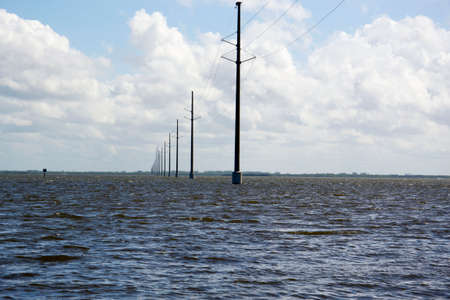 ring darling wildlife refugeの写真素材