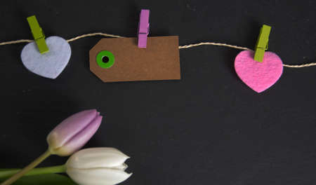 Spring background with tulipsの写真素材