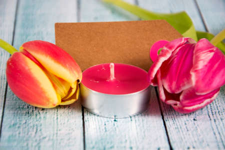 Spring background with tulips