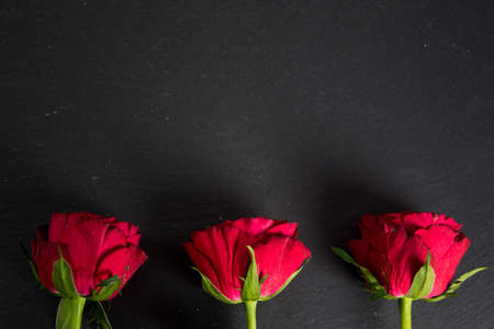 nice bakcground with roses - symbol for loveの写真素材