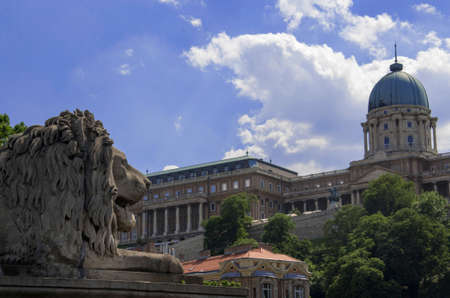 the royal palace in budapestの写真素材